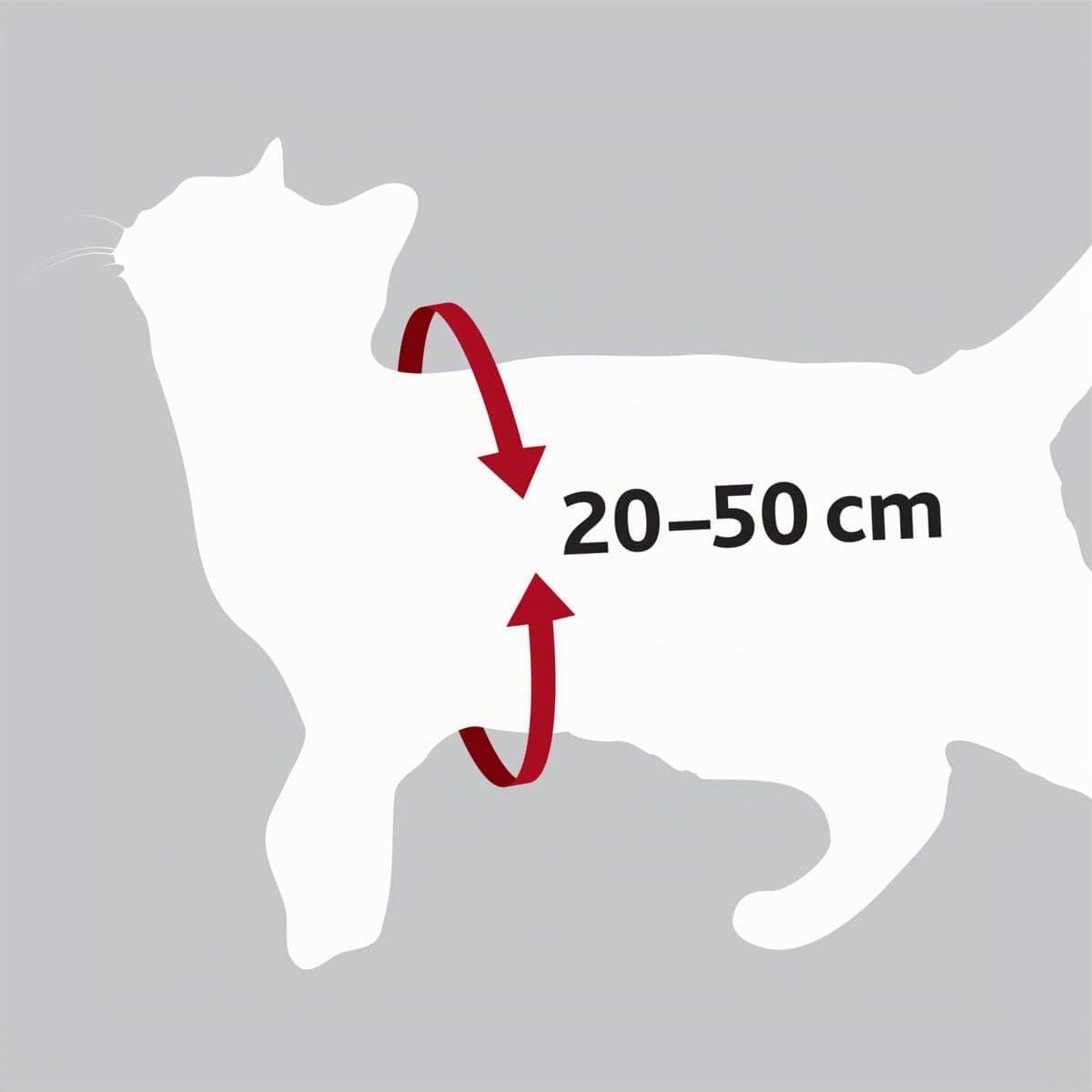 Sicherheitsgurt fuer Katze 20-50 cm verstellbar Rot Gurtsystem