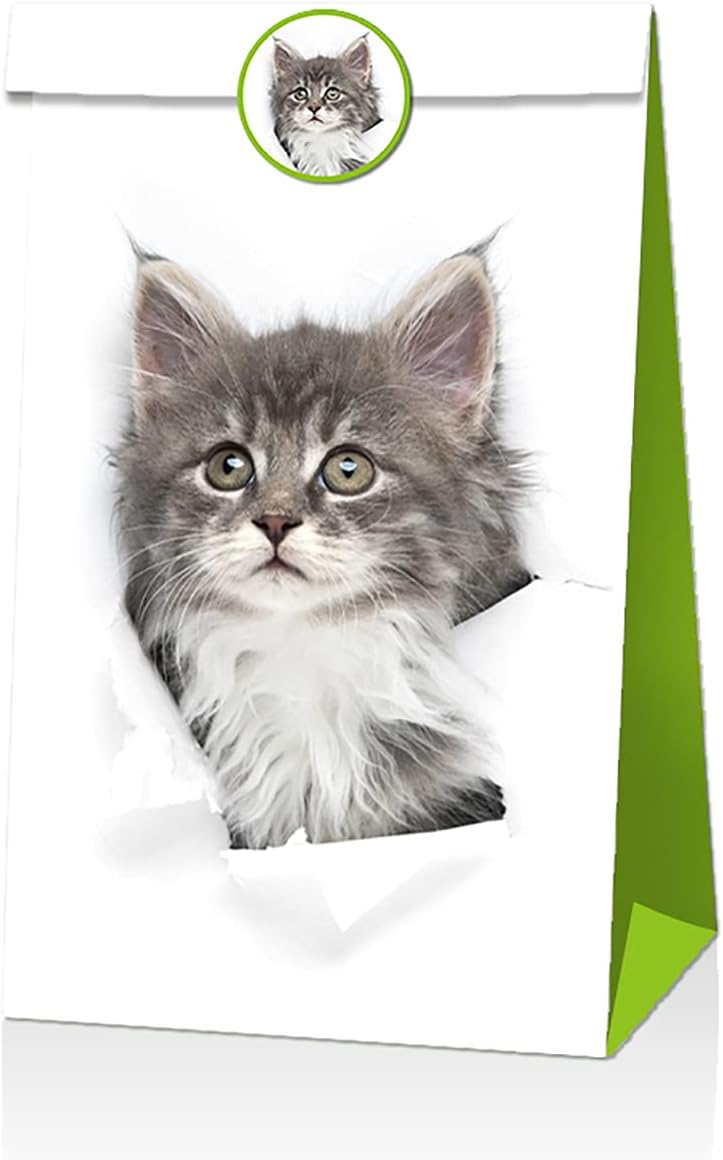 Geschenktueten 12er Set Katzenmotiv Papiertueten Goodie Bags Party Suessigkeiten