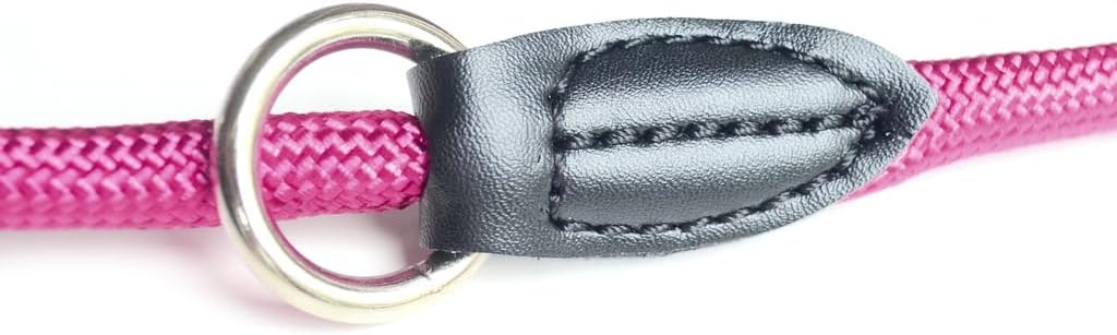 Leisegruen Hundeleine verstellbar 2m-3m Nylon Doppelleine Schwarz