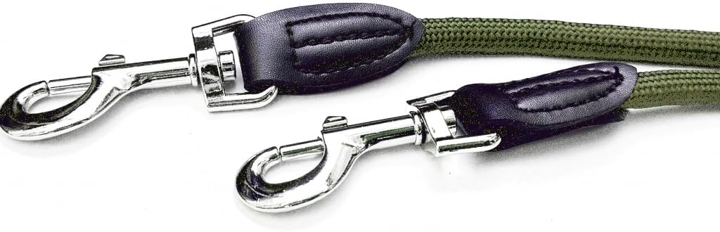 Leisegruen Hundeleine verstellbar 2m-3m Nylon Doppelleine Schwarz
