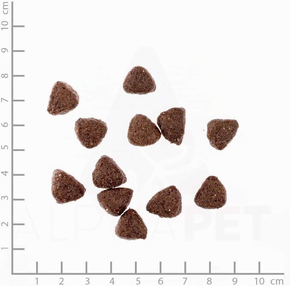 WILDES LAND Wild Trockenfutter 12 kg fuer ausgewachsene Hunde mit hohem Fleischanteil