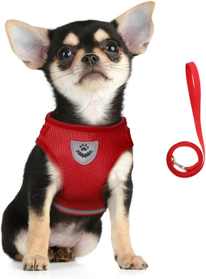 FEimaX Katzengeschirr Mesh verstellbar 25cm-40cm mit Leine reflektierend