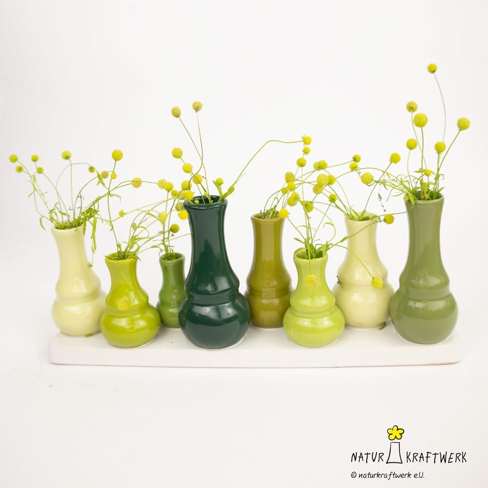 Gummibaerchenblume Anzuchtset 8,7cm Geschenk Pflanzset