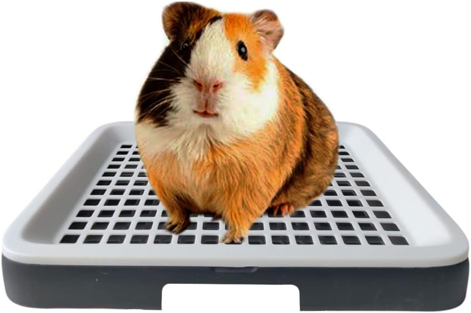 Oncpcare Meerschweinchenklo mit Rost Ecktoilette für Käfig Rattenklo