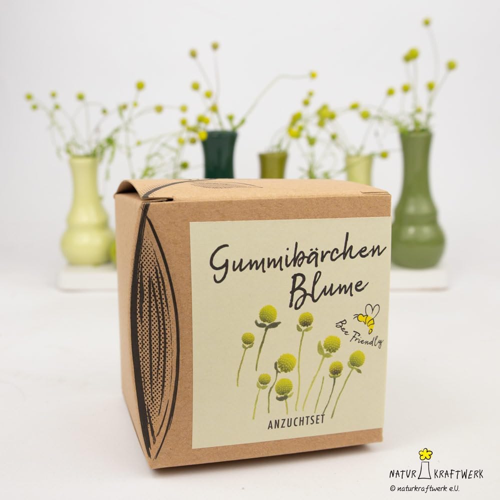 Gummibaerchenblume Anzuchtset 8,7cm Geschenk Pflanzset