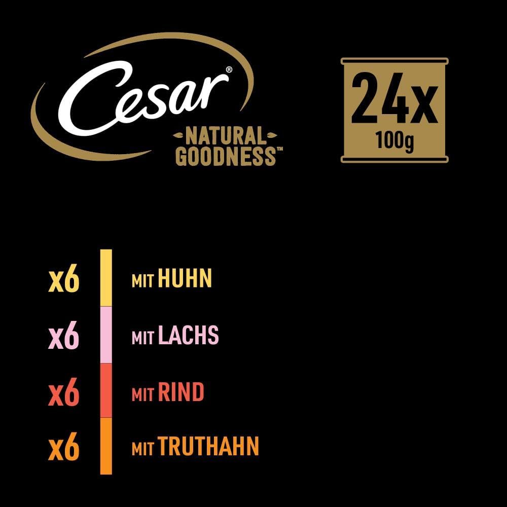 Cesar Hundefutter Nassfutter 24x100g verschiedene Sorten in Sauce