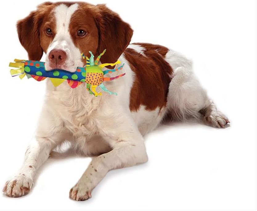 Petstages Kauknochen fuer Welpen - Hundespielzeug fuer den Zahnwechsel