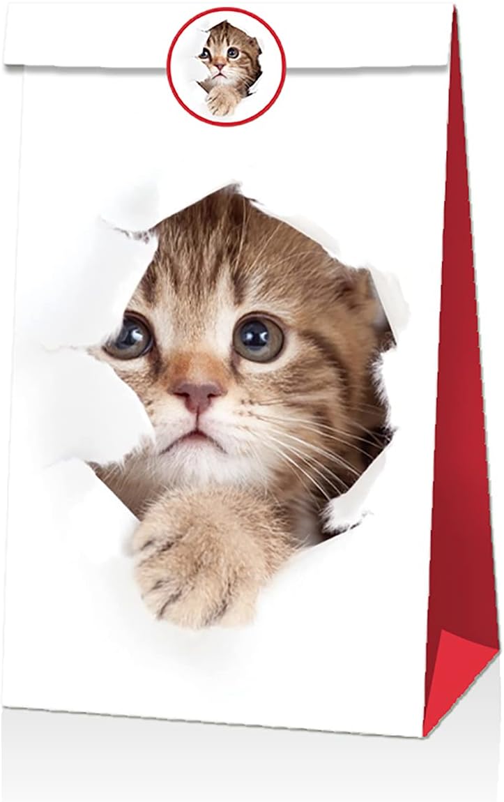 Geschenktueten 12er Set Katzenmotiv Papiertueten Goodie Bags Party Suessigkeiten
