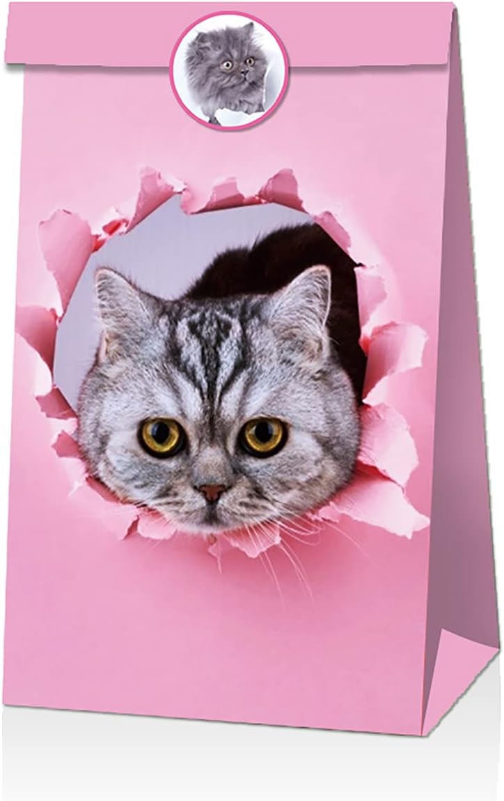 Geschenktueten 12er Set Katzenmotiv Papiertueten Goodie Bags Party Suessigkeiten