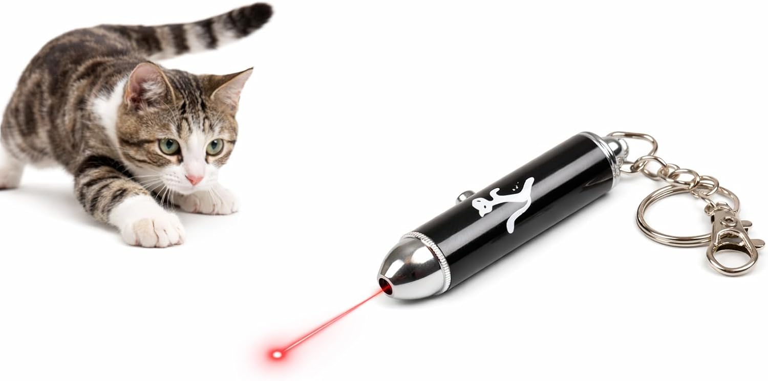 Laserpointer Katzenspielzeug interaktiv mit Schlüsselanhänger Katzen Laser