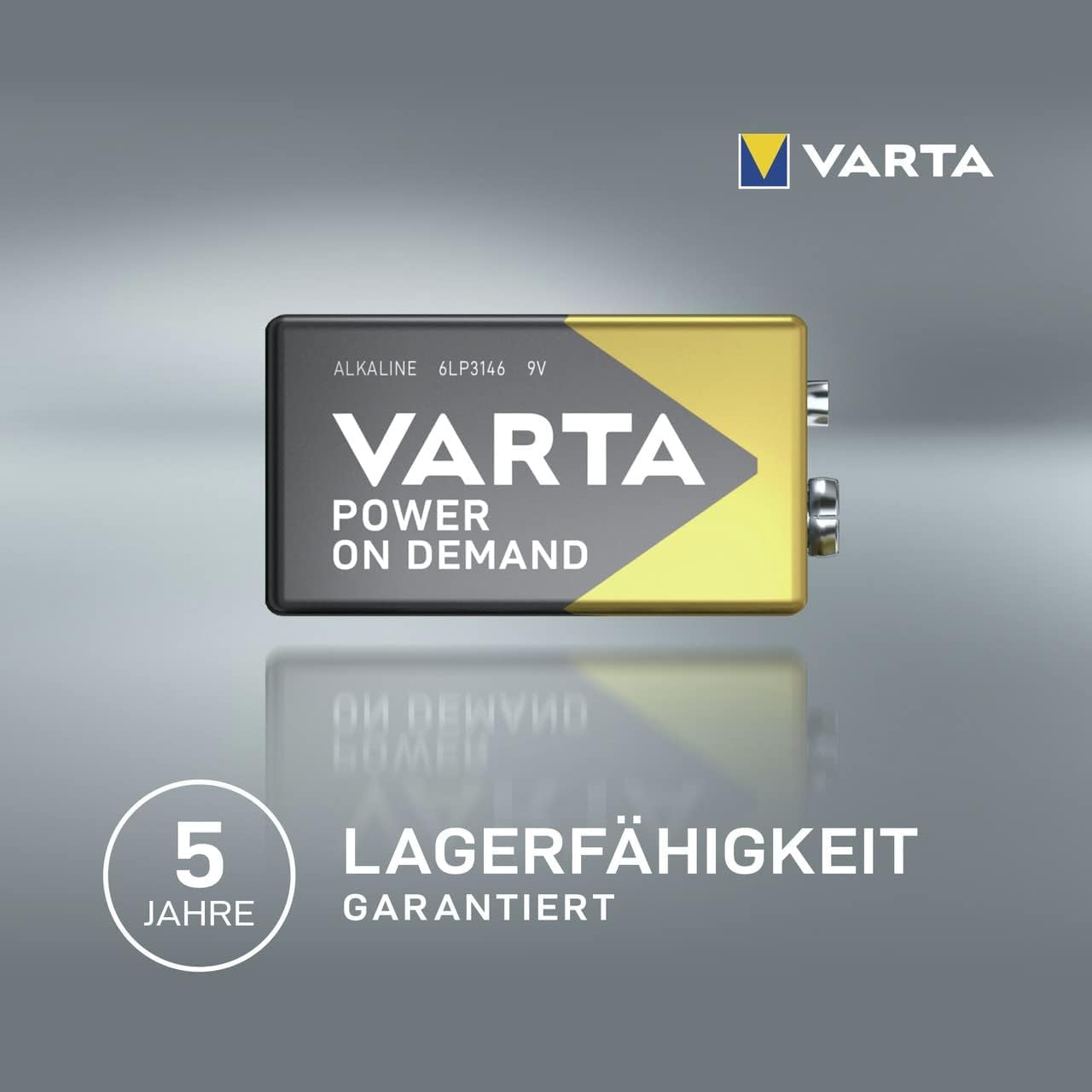 AAA Batterien 40er Pack Alkaline 1,5V Vorratspack
