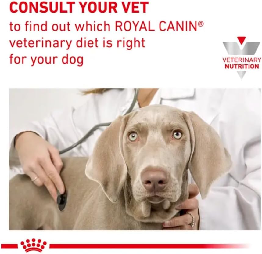 Royal Canin Gastrointestinal Low Fat Mousse 12x200g Diaetfutter fuer Hunde