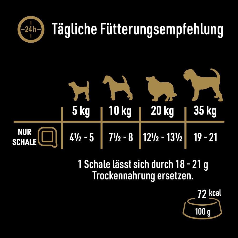 Cesar Hundefutter Nassfutter 24x100g verschiedene Sorten in Sauce