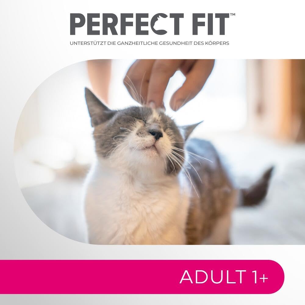 Perfect Fit Adult Katzen Trockenfutter Rind 7kg fuer erwachsene Katzen