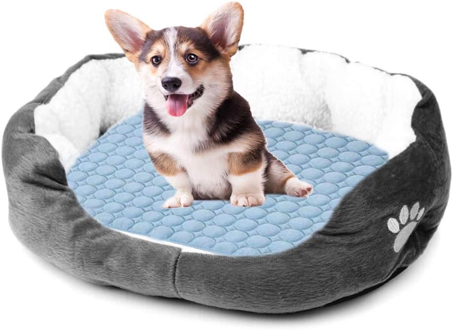 CoolCore Kuehlkissen fuer Hunde Katzen Blau S 1cm