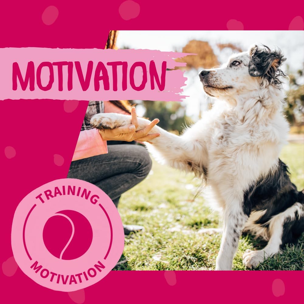 Hunde Trainingssnack getreidefrei Minis 9 x Leckerli Belohnung