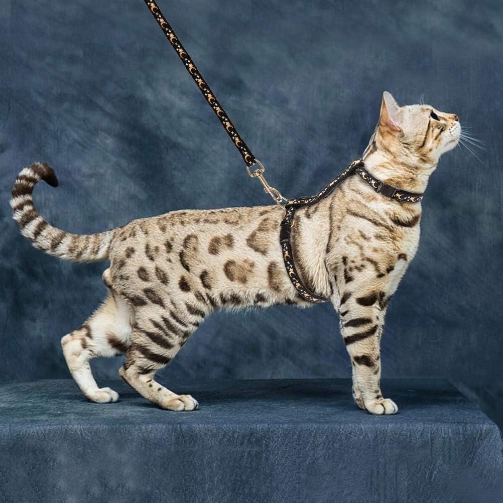 Katzengeschirr verstellbar mit Leine und Sicherheitsverschluss in verschiedenen Farben