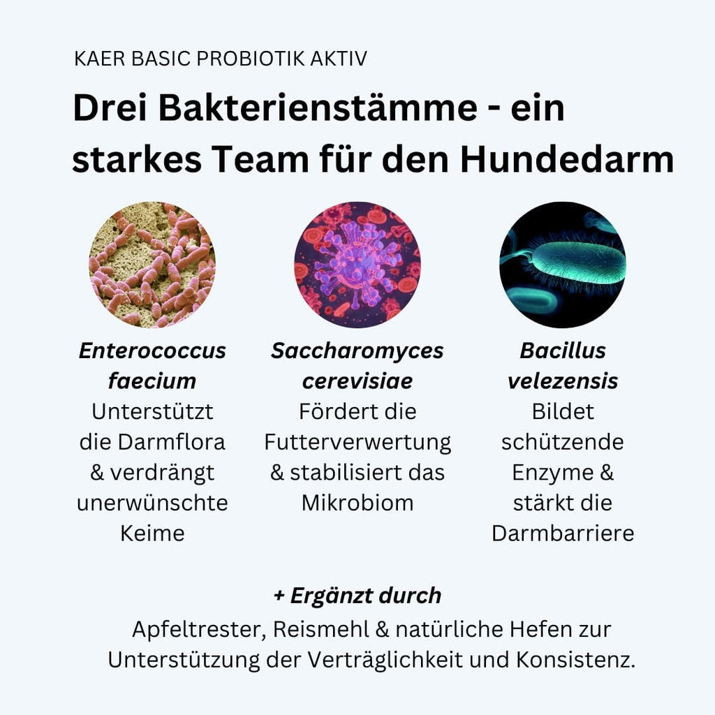 Praebiotik Pulver fuer Hunde zur Darmflorastaerkung bei Analdruesen Juckreiz