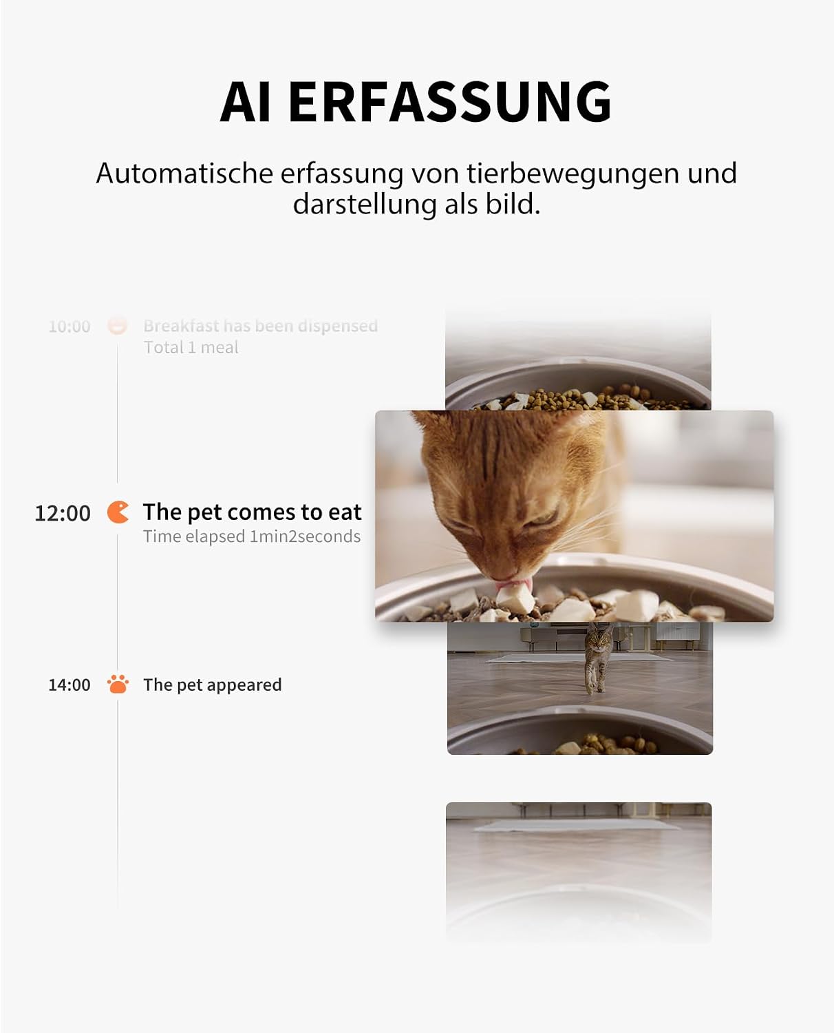 PETKIT Futterautomat fuer Katzen mit Kamera 3L App WLAN und KI Steuerung
