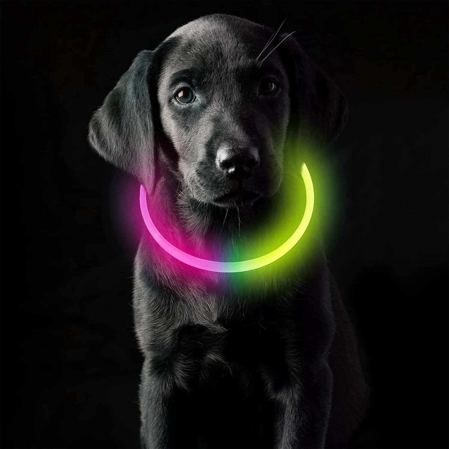 Coolzon LED Leuchthalsband Hundehalsband aufladbar wasserdicht 3 Modi Gruen