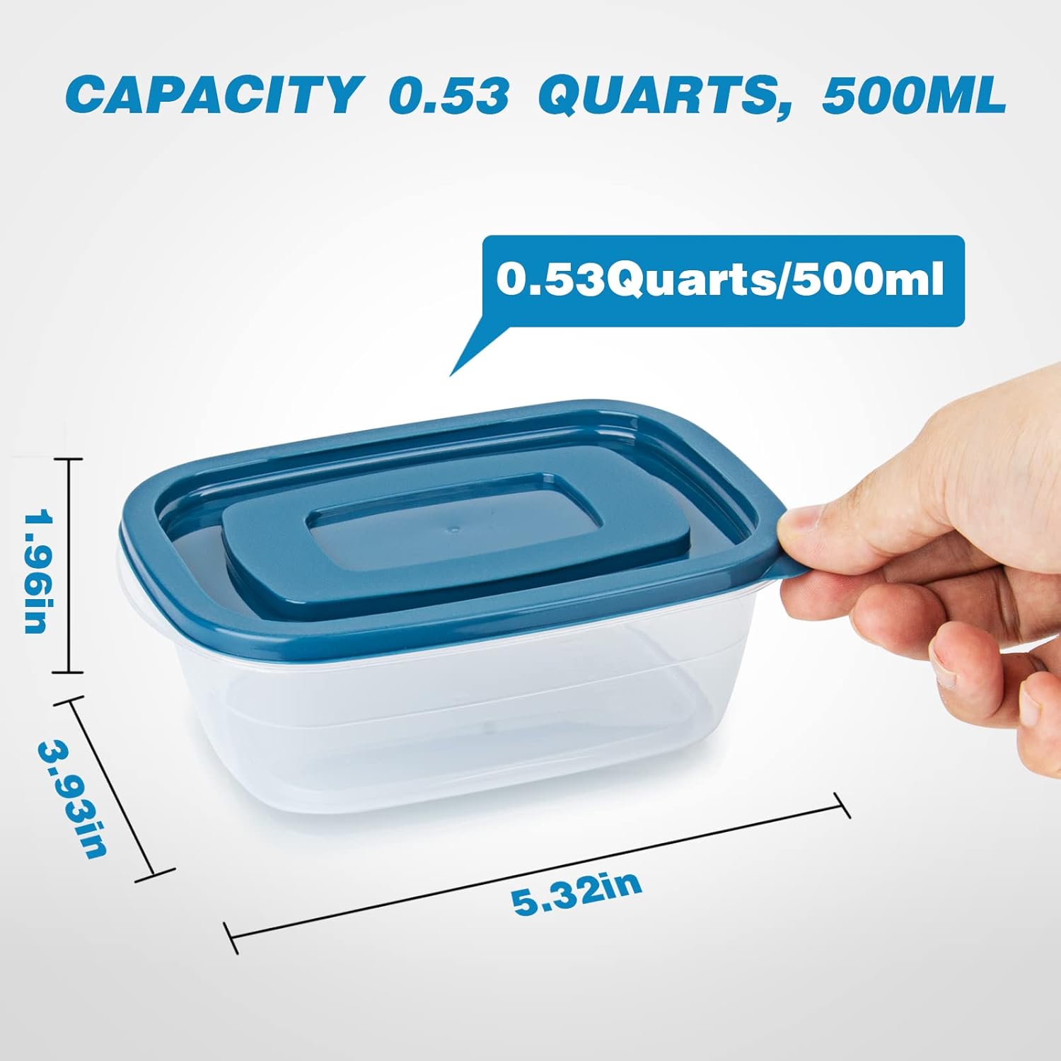 EFISH Portionsboxen 10er Set Kunststoff Lebensmittelbehaelter mit Deckel