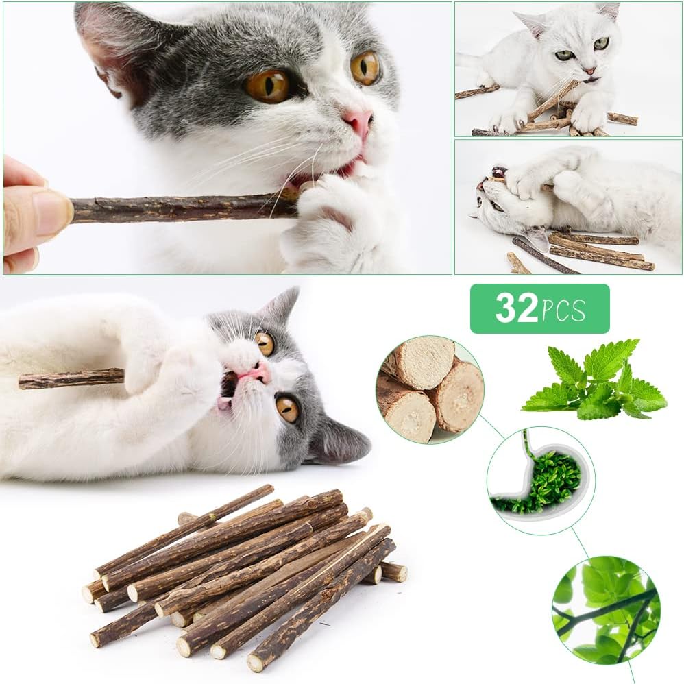 OSDUE Katzenminze Matatabi Kausticks 32 Stueck fuer Zahnpflege, Mundgeruch