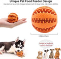 Tragbare Hundeflasche auslaufsicher Gruen + Squeeze- und Leckerli-Ball Bla