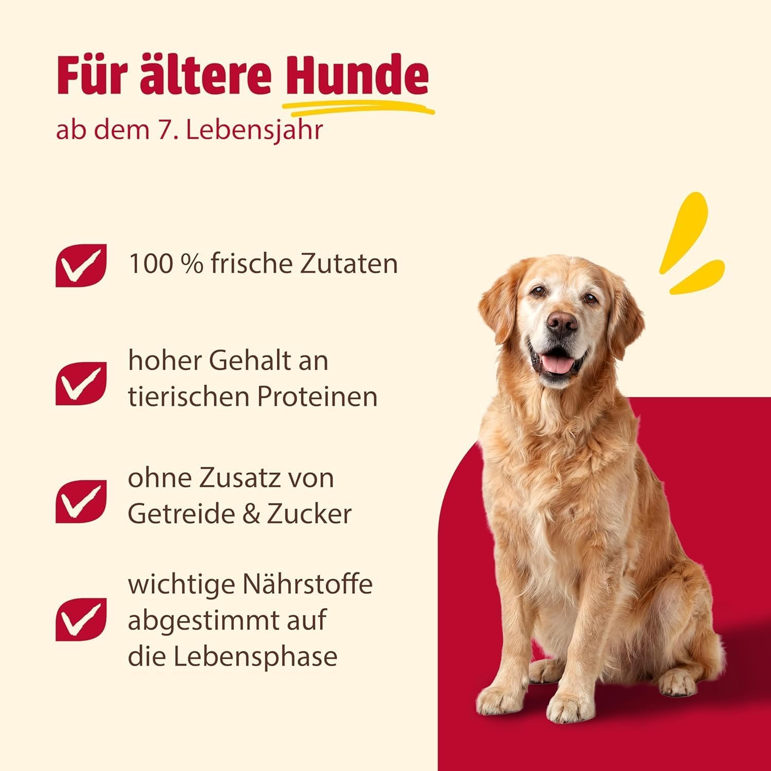 animonda GranCarno Senior Hundefutter Rind und Lamm Nassfutter