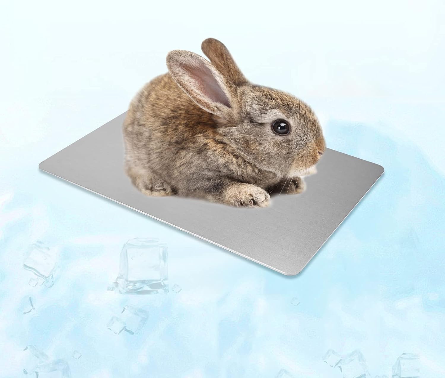Hileyu Kuehlmatte 30x20 cm fuer Kleintiere Kaninchen Meerschweinchen Hamster Katze