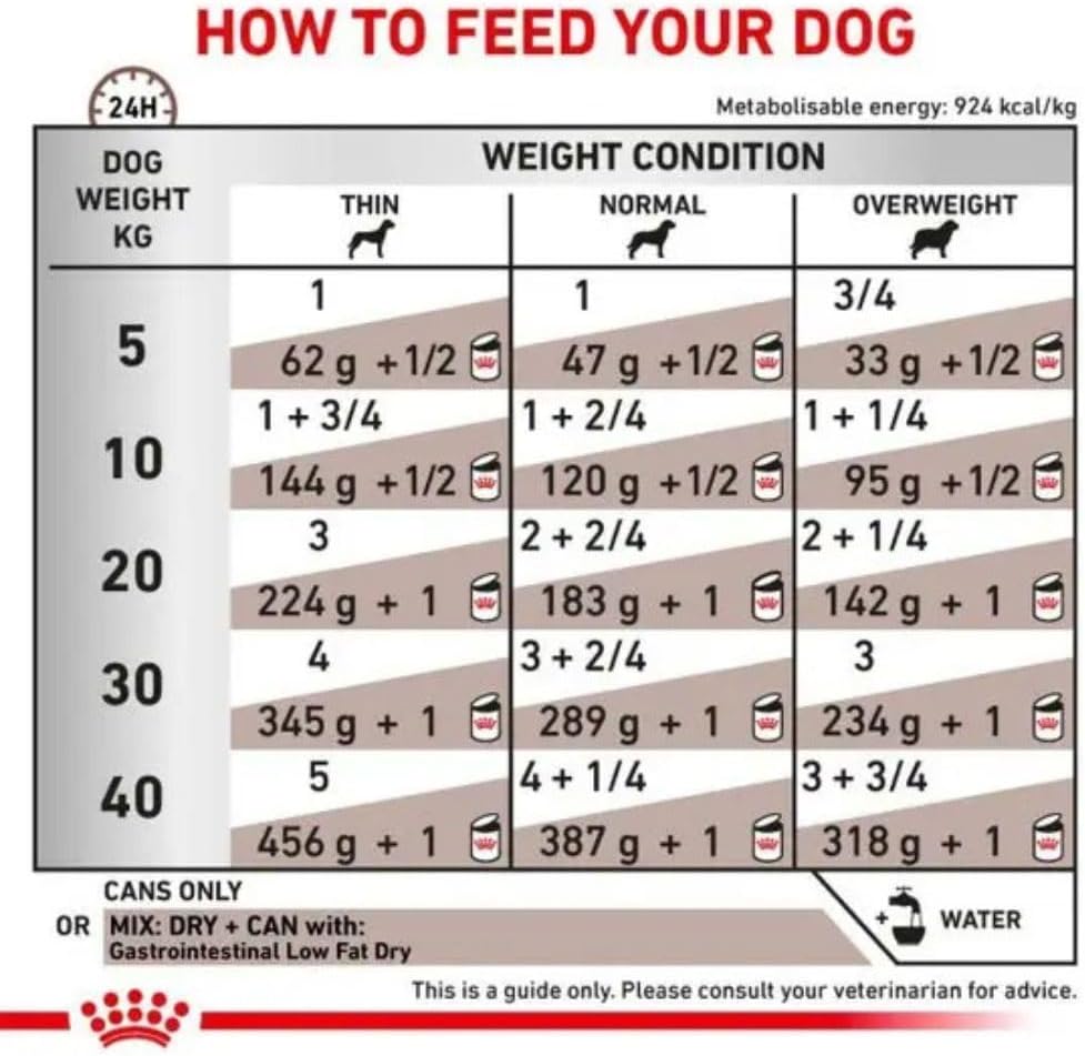 Royal Canin Veterinary Gastrointestinal Low Fat 6 kg Trockenfutter Hund