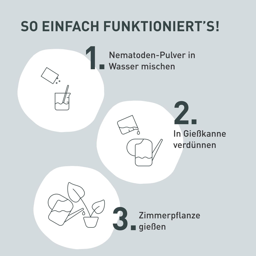 Plantura Nematoden gegen Trauermuecken zum Giessen 5 Mio fuer 5 m² (ca. 50 Pflanzen