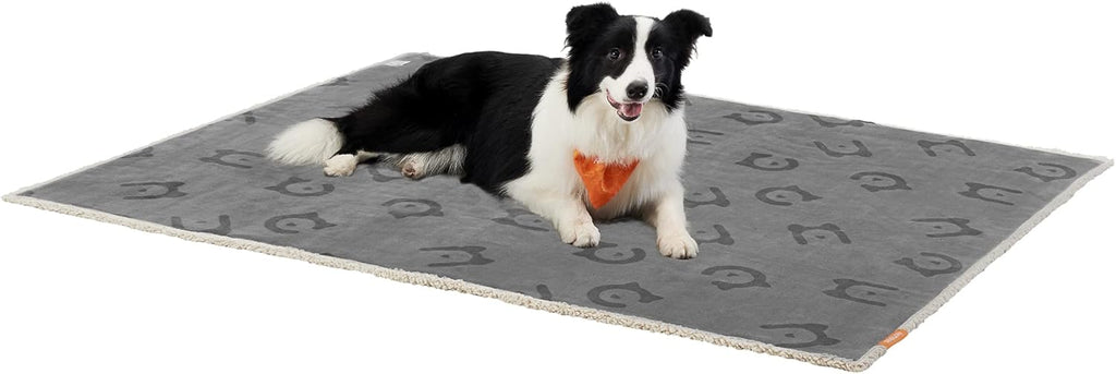 Feandrea Hundedecke wasserdicht Sherpa Fleece 101×73 cm Grau 63cm-203cm