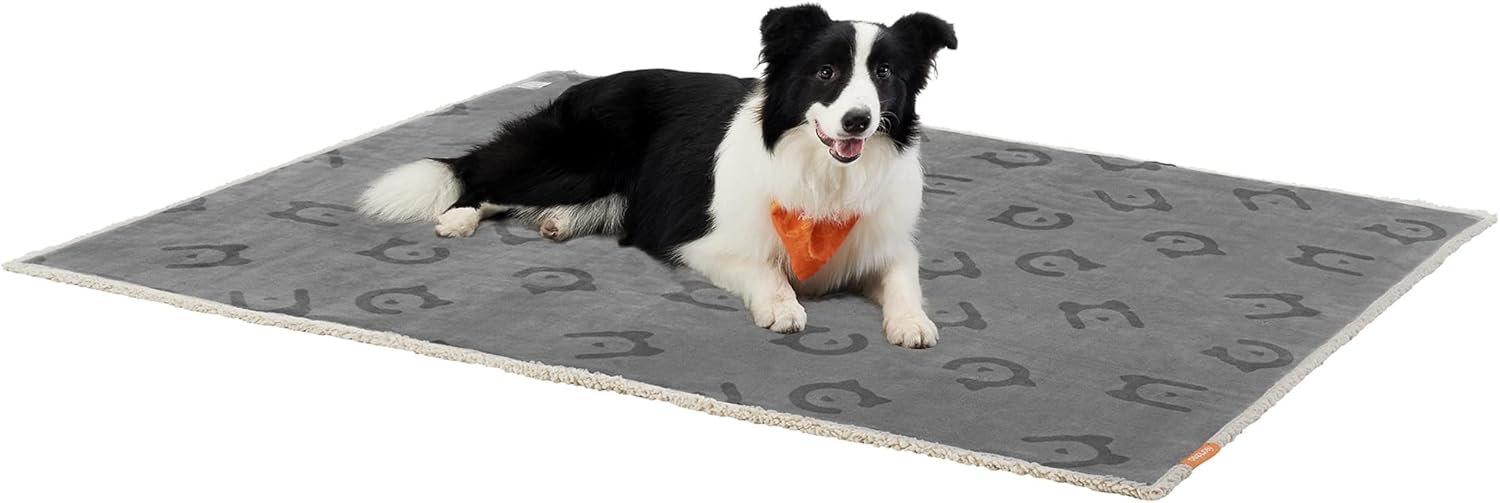 Feandrea Hundedecke wasserdicht Sherpa Fleece 101×73 cm Grau 63cm-203cm