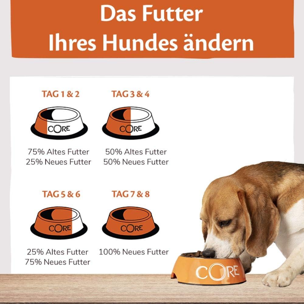 Wellness CORE Hundefutter Nass 6x400g Huhn & Truthahn Pastete