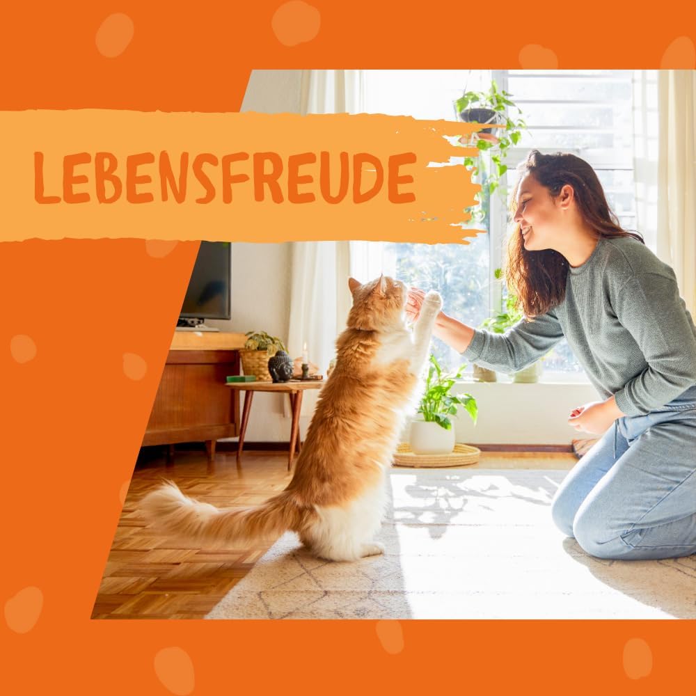 DOKAS gefriergetrocknete Innereien Katzenleckerlis getreidefrei