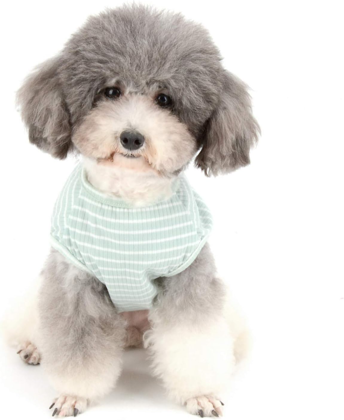 Zunea Hundeshirt Uebergangstanktop gestreift grau Baumwolle Chihuahua S-XXL