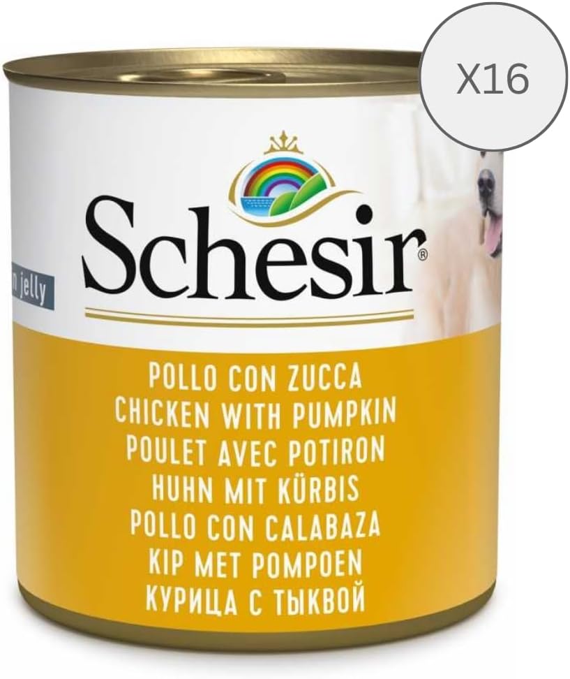 Schesir Dog Huhn mit Kartoffel Nassfutter 16 x, verschiedene Sorten