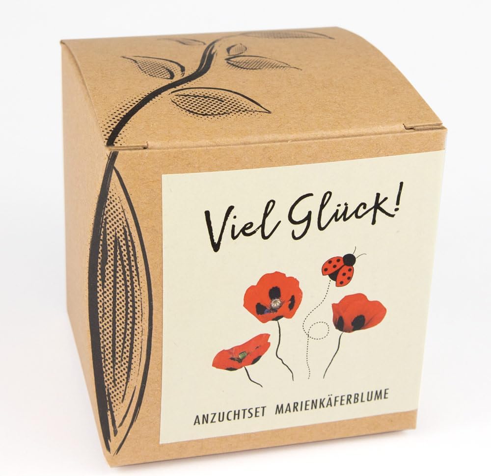 Marienkaeferblume Anzuchtset Samen fuer Garten Balkon Geschenk