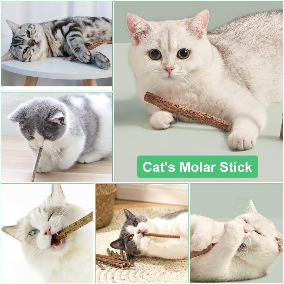 OSDUE Katzenminze Matatabi Kausticks 32 Stueck fuer Zahnpflege, Mundgeruch