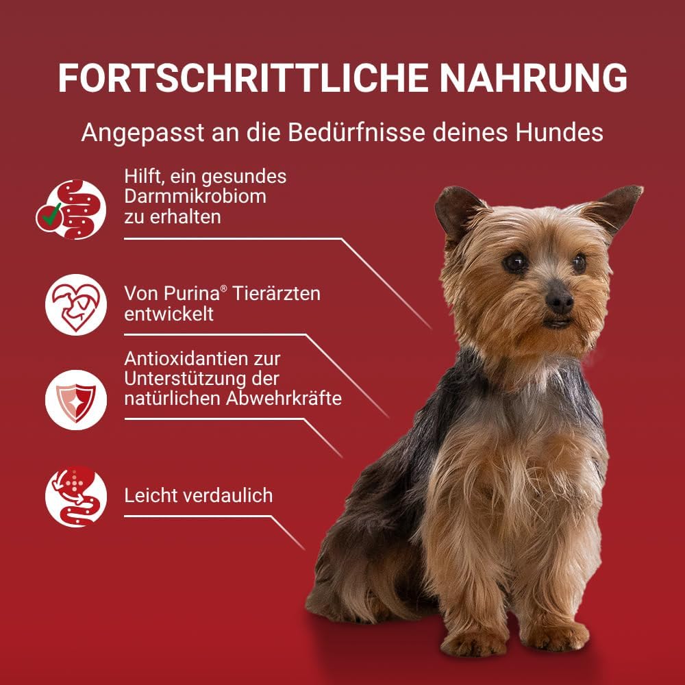 Purina ONE Mini/Small Adult Trockenfutter Rind & Reis 8 x verschiedene Sort