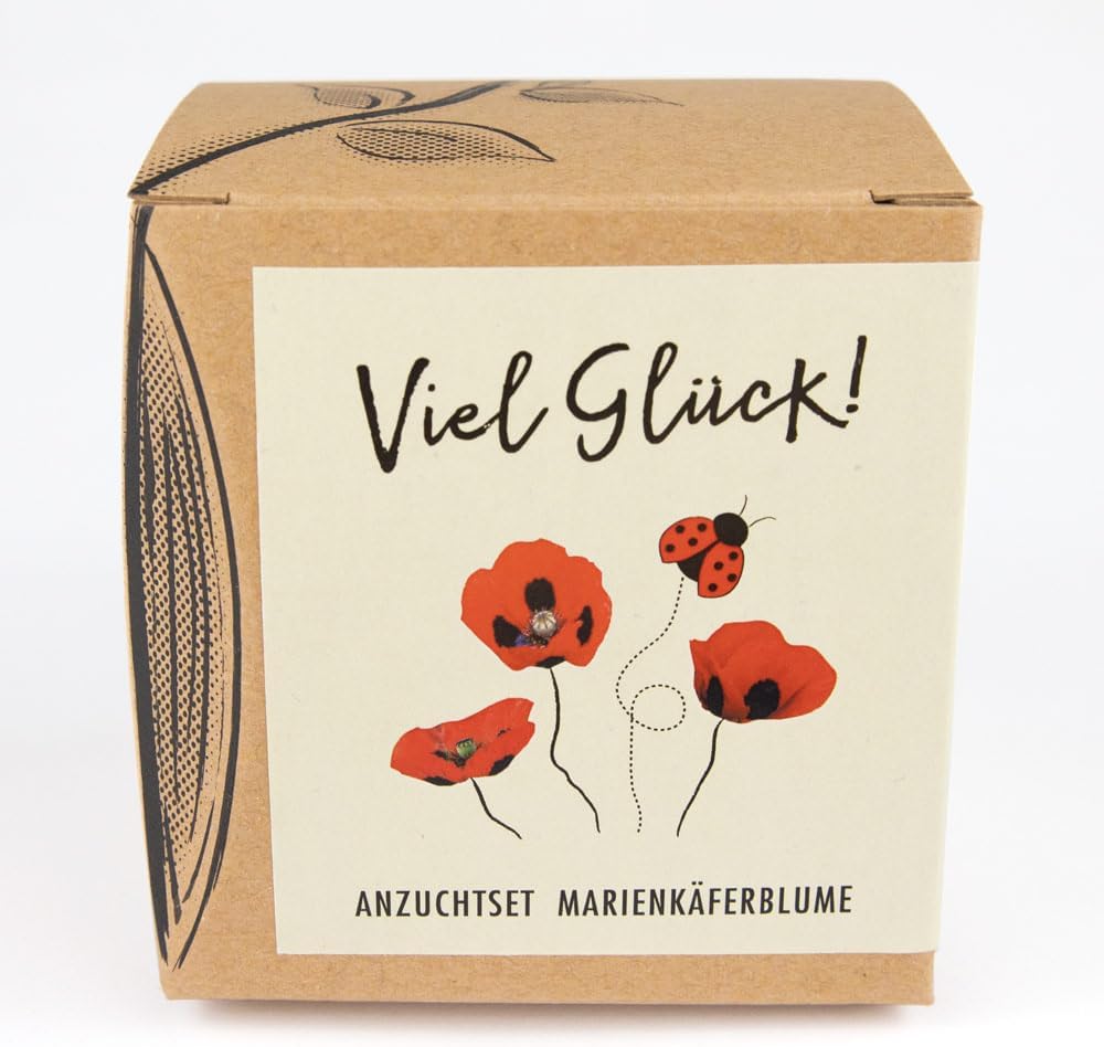 Marienkaeferblume Anzuchtset Samen fuer Garten Balkon Geschenk