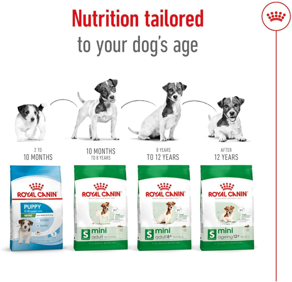 Royal Canin Mini Adult 800 g Alleinfutter Hund kleine Rassen Omega‑3