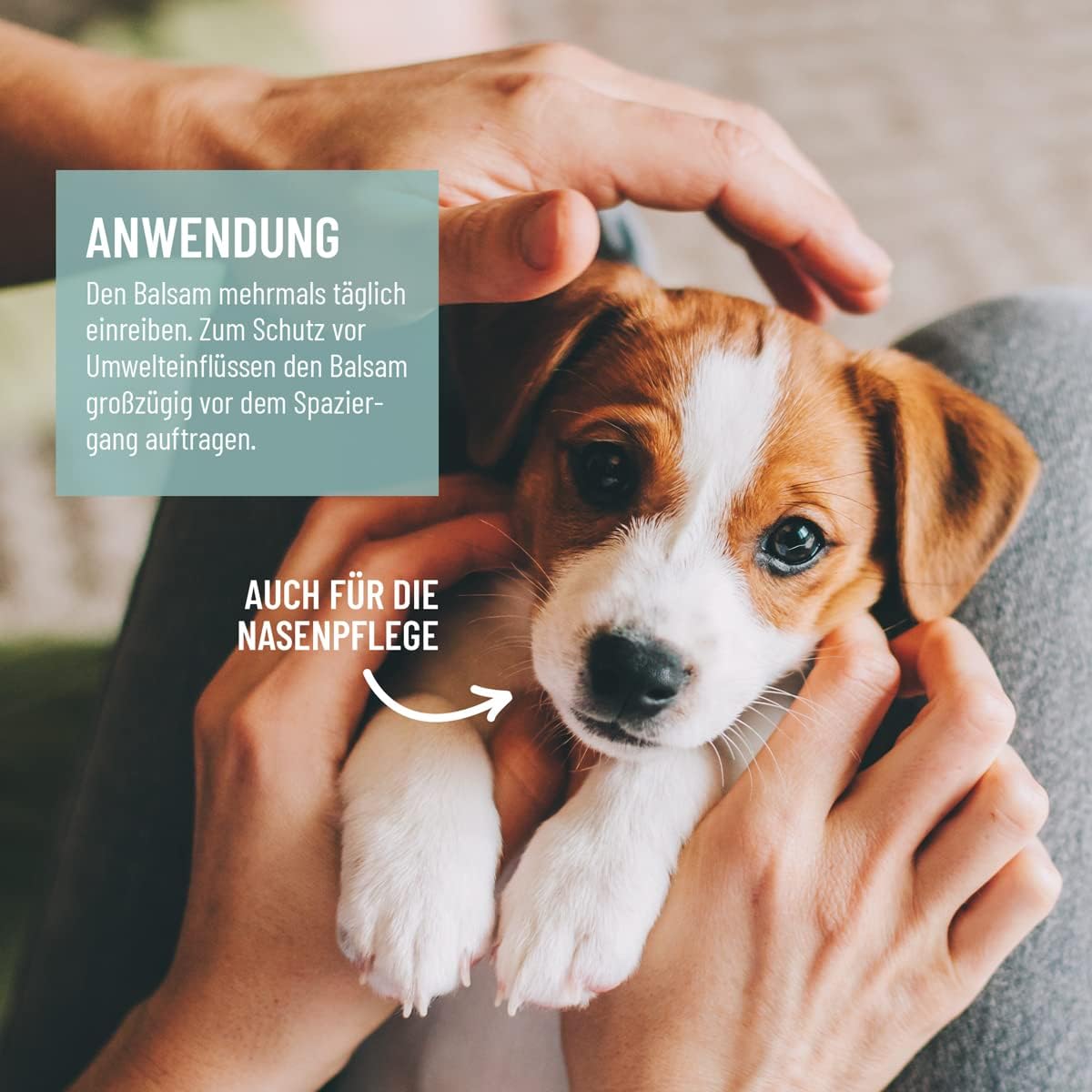 ReaVET Pfotenreiniger Pfotenschaum Hamamelis Gurke Hund Pfotenpflege