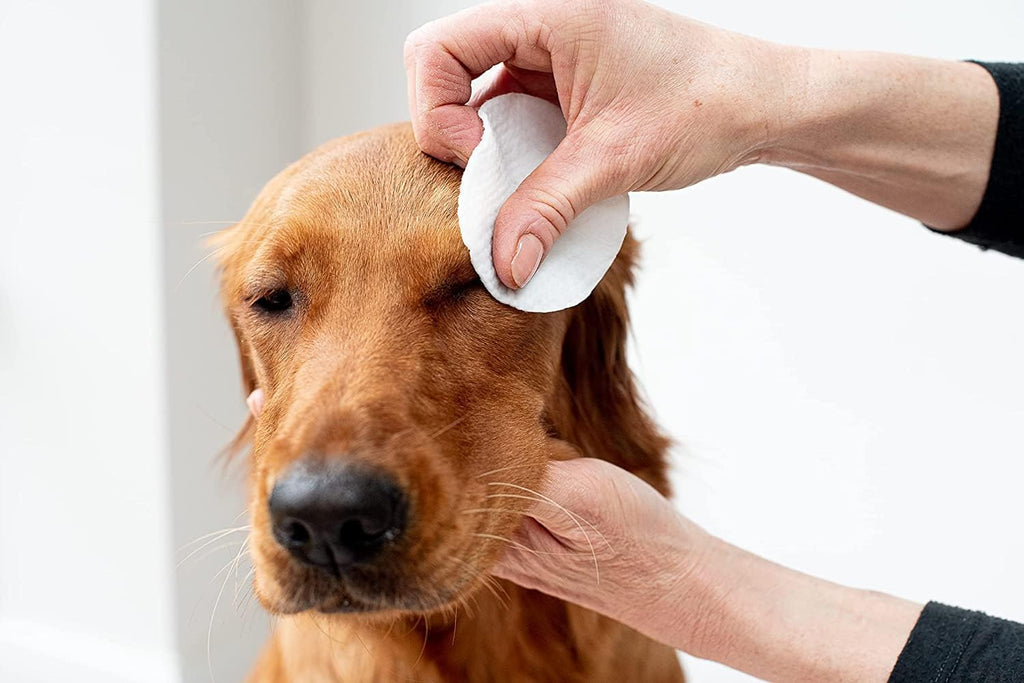 Pet Wiz Aloe Vera Augenwischtuecher fuer Hunde und Katzen Groesse XL 1 Dose