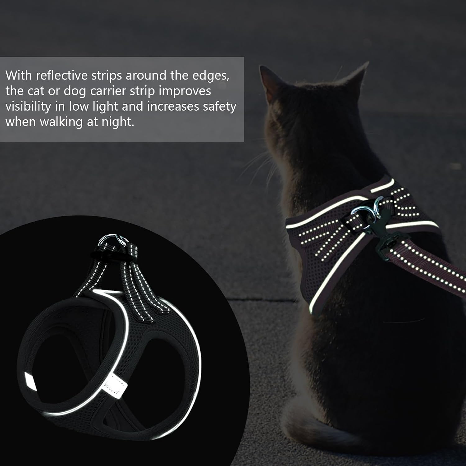 Verstellbares Katzengeschirr mit Leine, ausbruchsicher, reflektierend XS-M