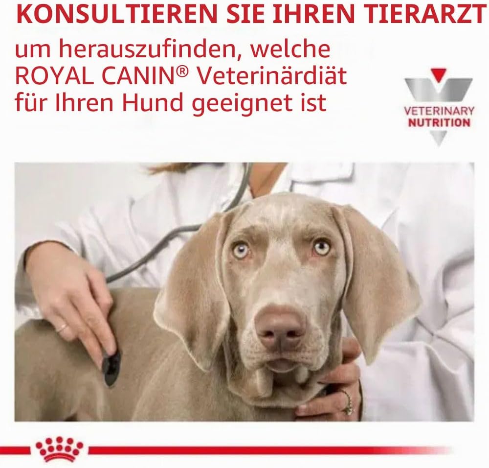 Royal Canin Veterinary Gastrointestinal Low Fat 6 kg Trockenfutter Hund