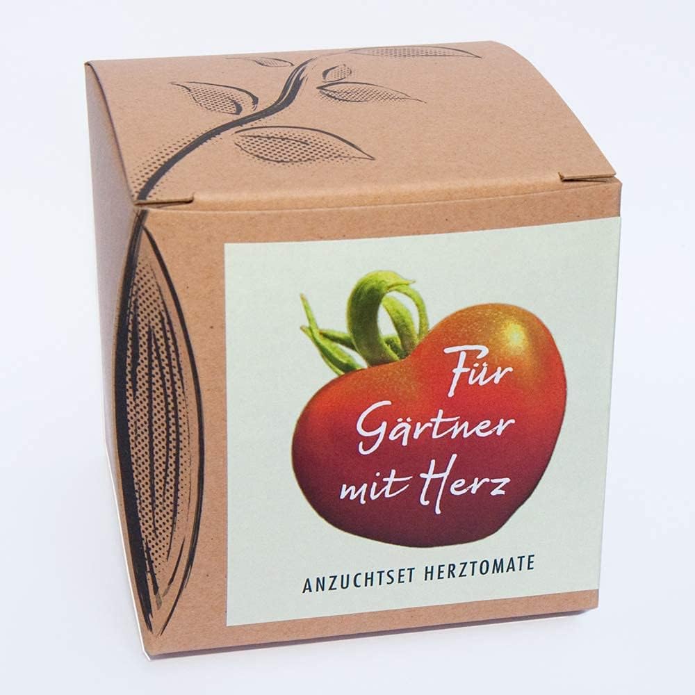 Herztomate Anzuchtset mit seltenen Tomatensamen fuer Hobbygaertner