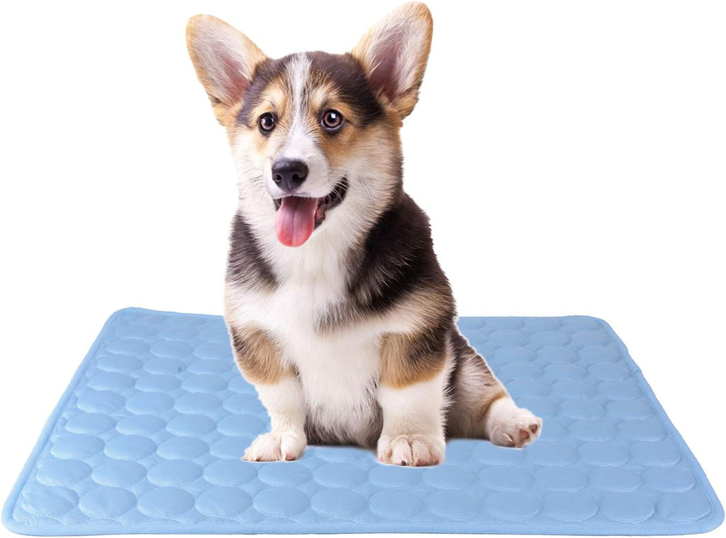 CoolCore Kuehlkissen fuer Hunde Katzen Blau S 1cm