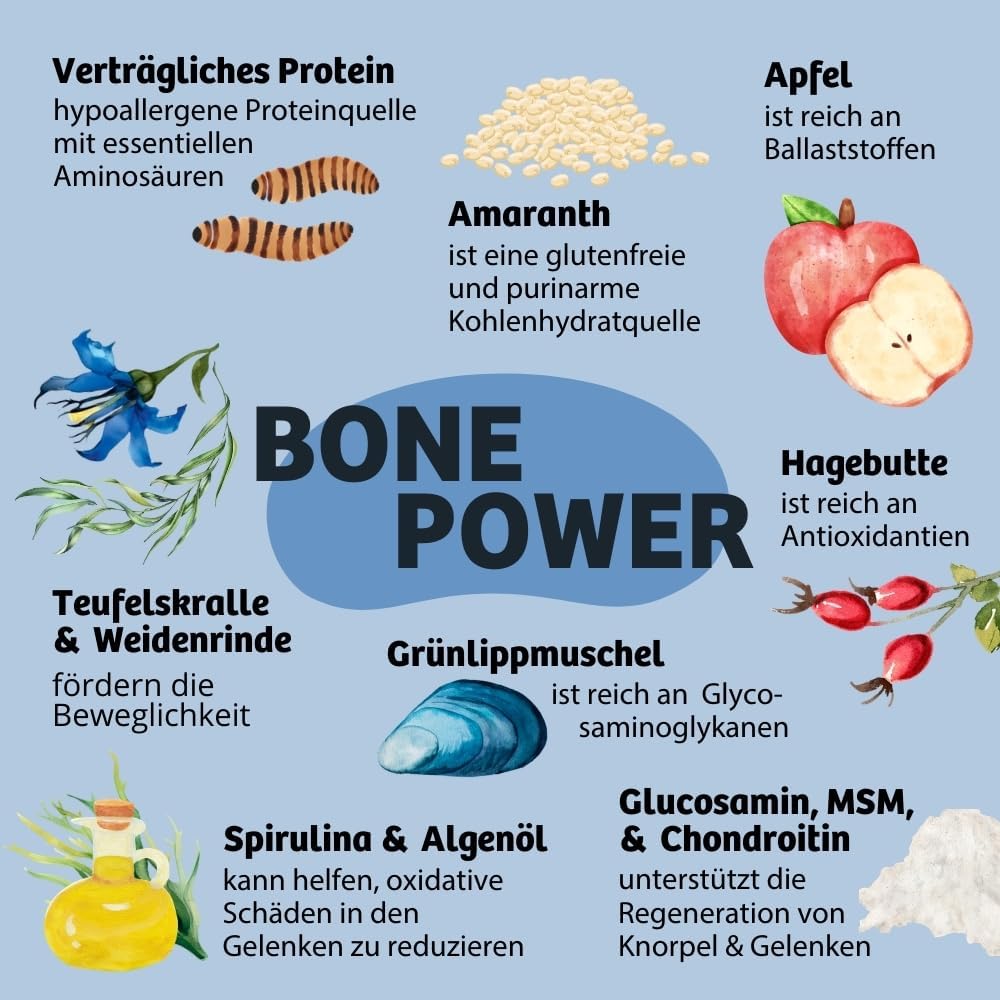 BugBell Soft Snack Hundeleckerli Hypoallergen Insektenprotein verschiedene S