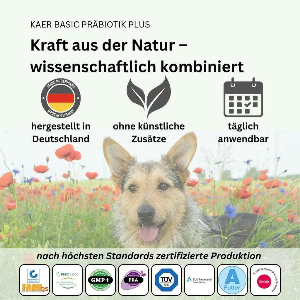 Praebiotik Pulver fuer Hunde zur Darmflorastaerkung bei Analdruesen Juckreiz
